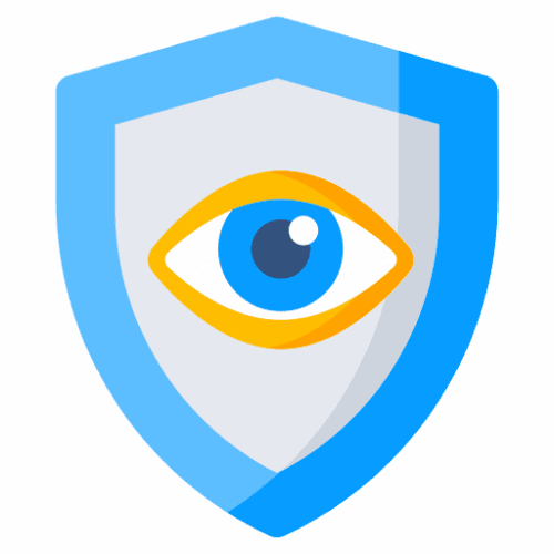 security inspection